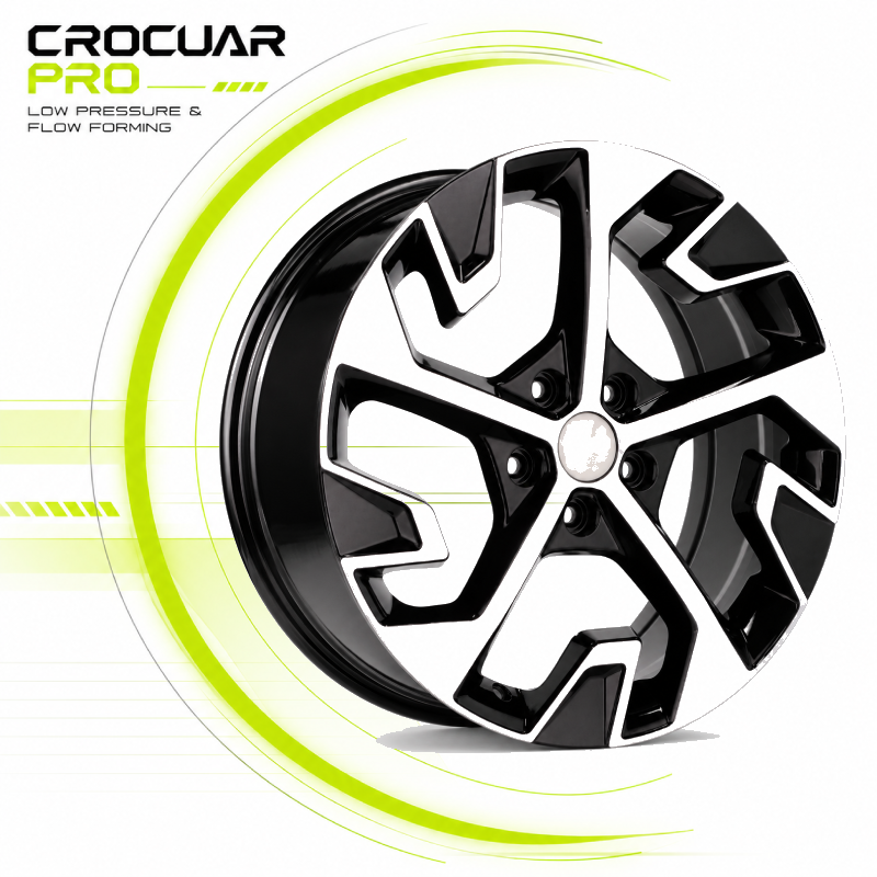 CR366-2-1 CR366-2-1